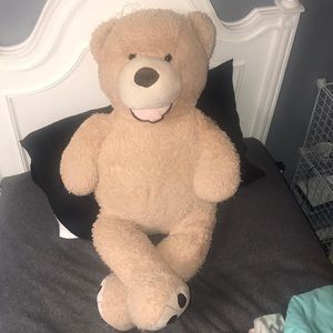 Big teddy bear